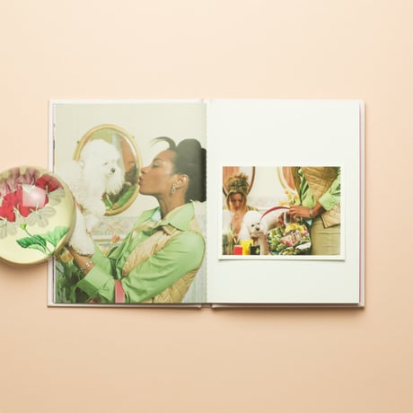 【 Poodle Parlour: One Picture Book #47 】Nancy Honey