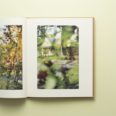 【 Between Maple and Chestnut 】Terri Weifenbach 　コレクターズアイテム