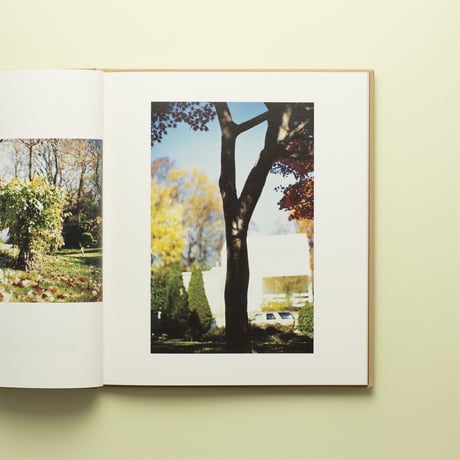 【 Between Maple and Chestnut 】Terri Weifenbach 　コレクターズアイテム