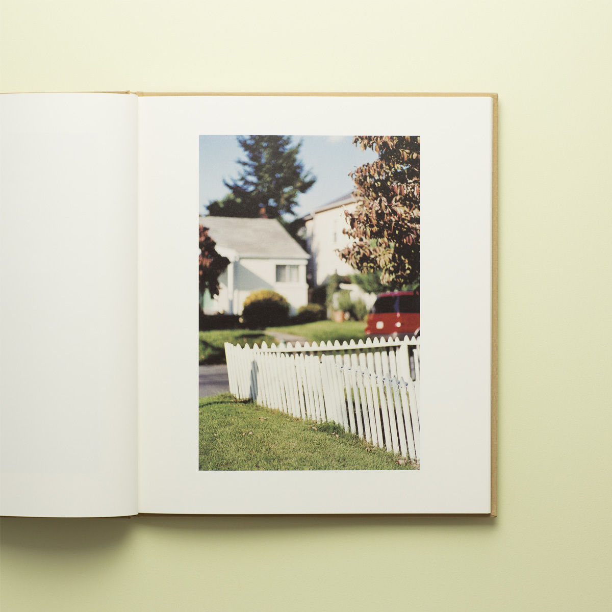 Between Maple and Chcstnut：テリー・ワイフェンバック 感想/レビュー：写真集『Between Maple and Chestnut』/Terri