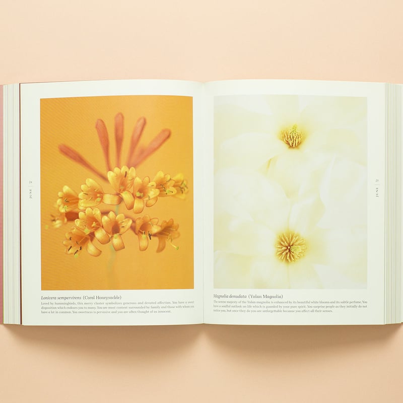 アート・デザイン・音楽 BLOOM Ron Van Dongen A BLOOM A DAY 】Ron van Dongen サイン本 ビンテージ | RA
