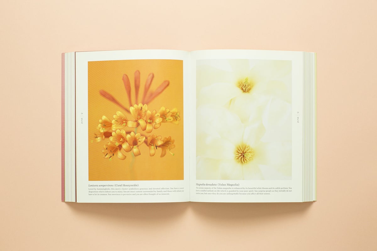 A BLOOM A DAY 】Ron van Dongen サイン本 ビンテージ | RA