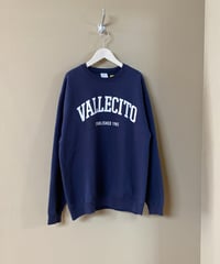 【USED】 PORT&COMPANY / 裏起毛プリントスウェット (ユニセックス)
