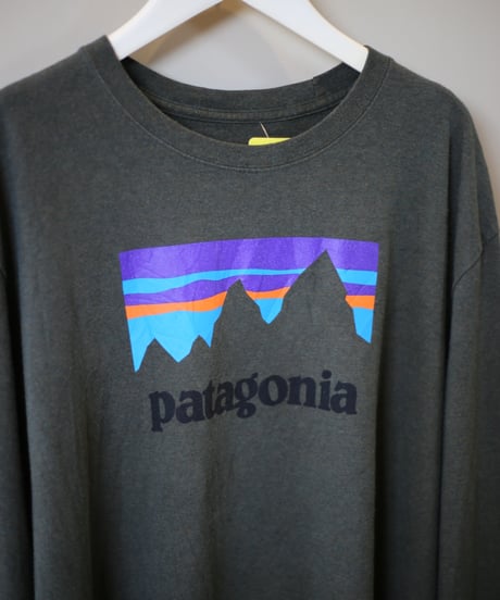【USED】Patagonia (パタゴニア) / プリントロングスリーブ Tシャツ (ユニセックス)