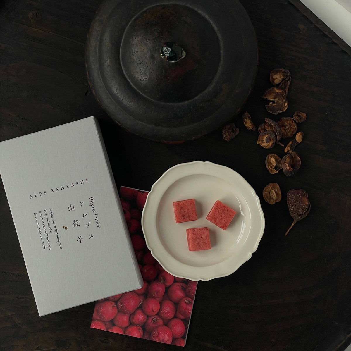 Phyto_Tuner / アルプス⼭査⼦-sanzashi- | 参鶏湯研究所