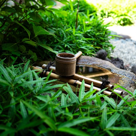 夏の養生食 薬膳と発酵を学ぶ、参鶏湯と水キムチの会