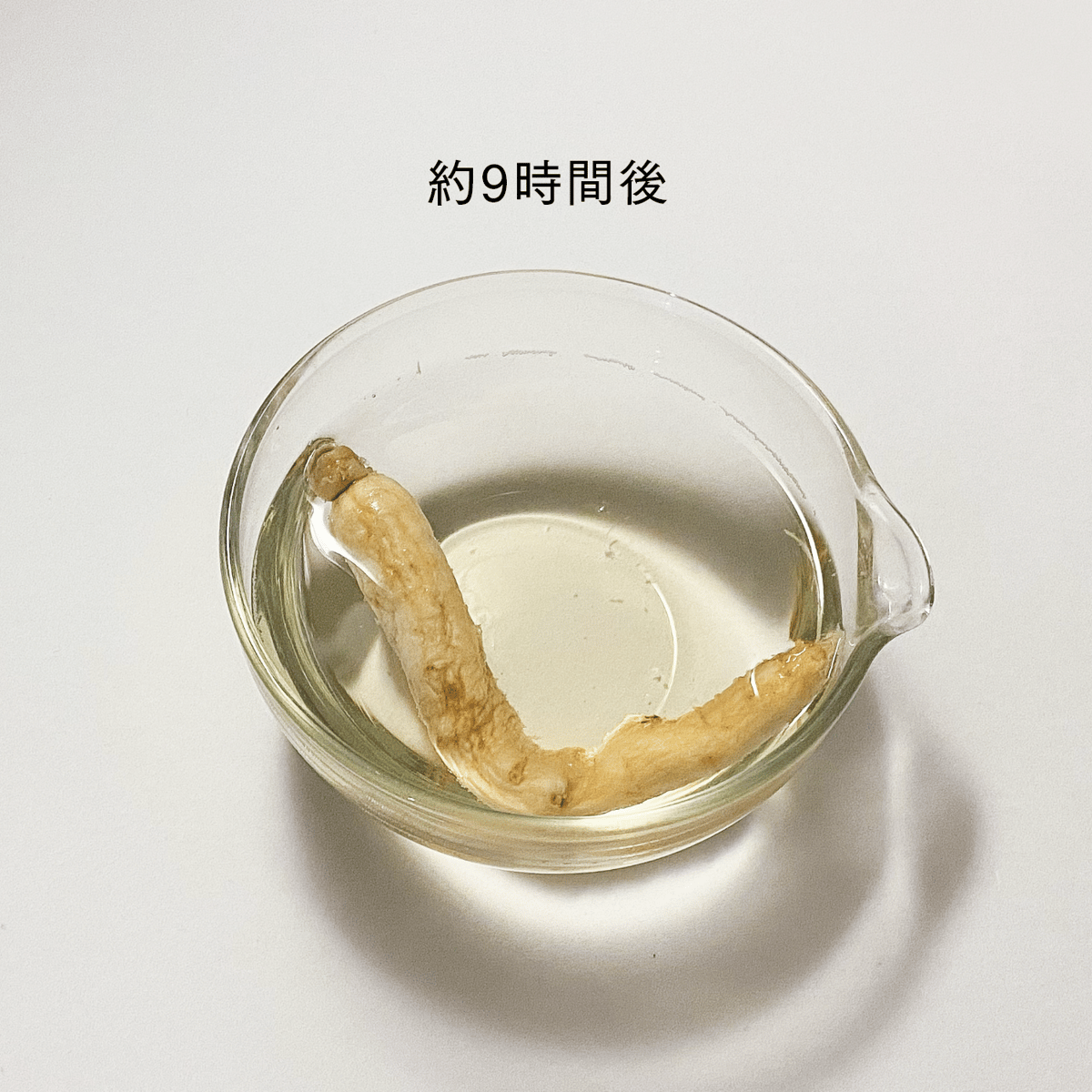 韓国産 高麗人参 4年根 | 参鶏湯研究所
