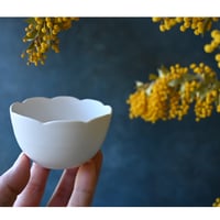 安彦年朗　白鳥 安彦年朗 白鳥片口