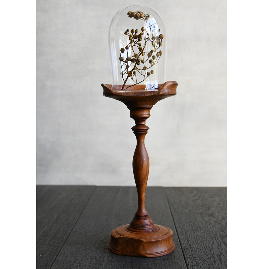 久銘 コンポート/本桜 KYU-06 *ガラスドーム付き | svale furniture