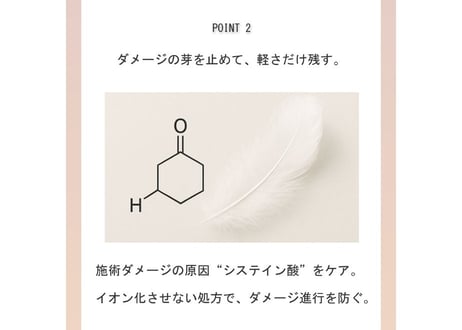 BN by RADIANT シャンプー/トリートメント 500mlボトル