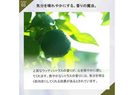 [e]ruリペアリングヘアオイル