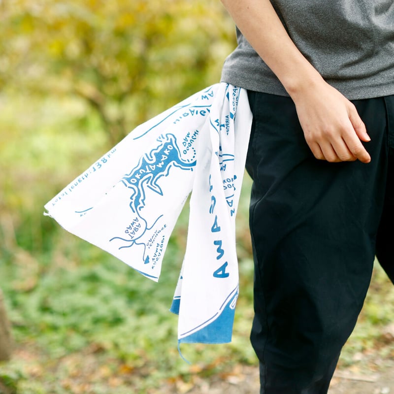 りぬ カード検索 ｜ Z/X - Zillions of enemy X - ゼクス公式サイト