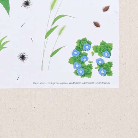 トートバッグ〈野草〉