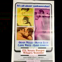 It's a Bikini World ビンテージポスター IT'S A BIKINI WORLD (1967) | VINTAGE POSTER SCR