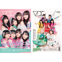 VDC Magazine 024＋VDCステッカー