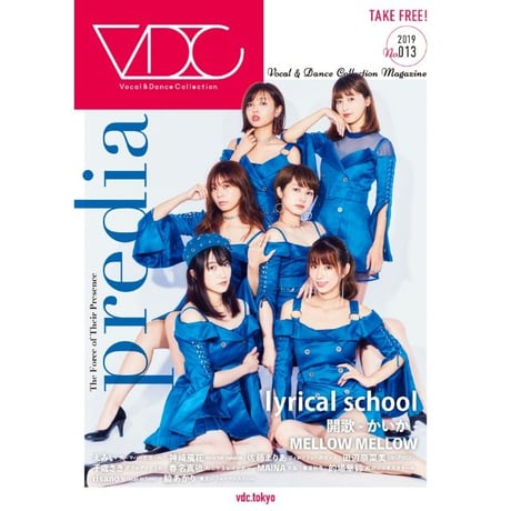 VDC Magazine 013＋VDCステッカー