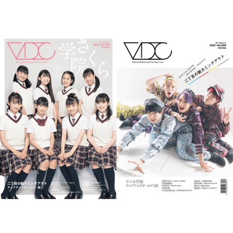 VDC Magazine 020 ＋VDCステッカー