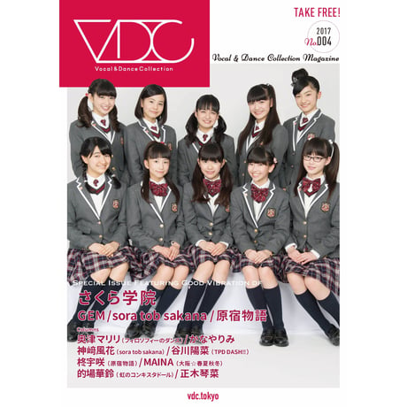 VDC Magazine 004＋VDCステッカー