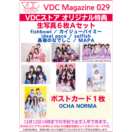【予約限定版】VDC Magazine 029＋「生写真6枚」＆「OCHA NORMAポストカード1枚」セット