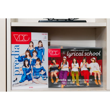 VDC Magazine 013＋VDCステッカー