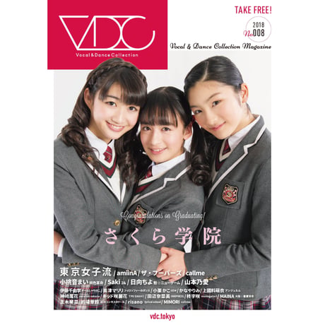 VDC Magazine 008＋VDCステッカー