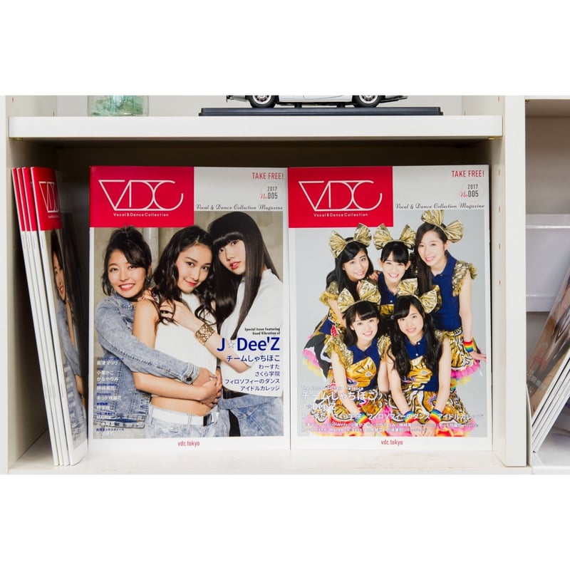 VDC Magazine 005＋VDCステッカー | VDC's Distribution