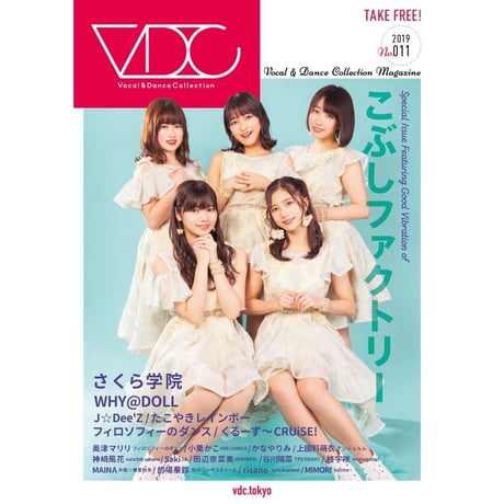 VDC Magazine 011＋VDCステッカー