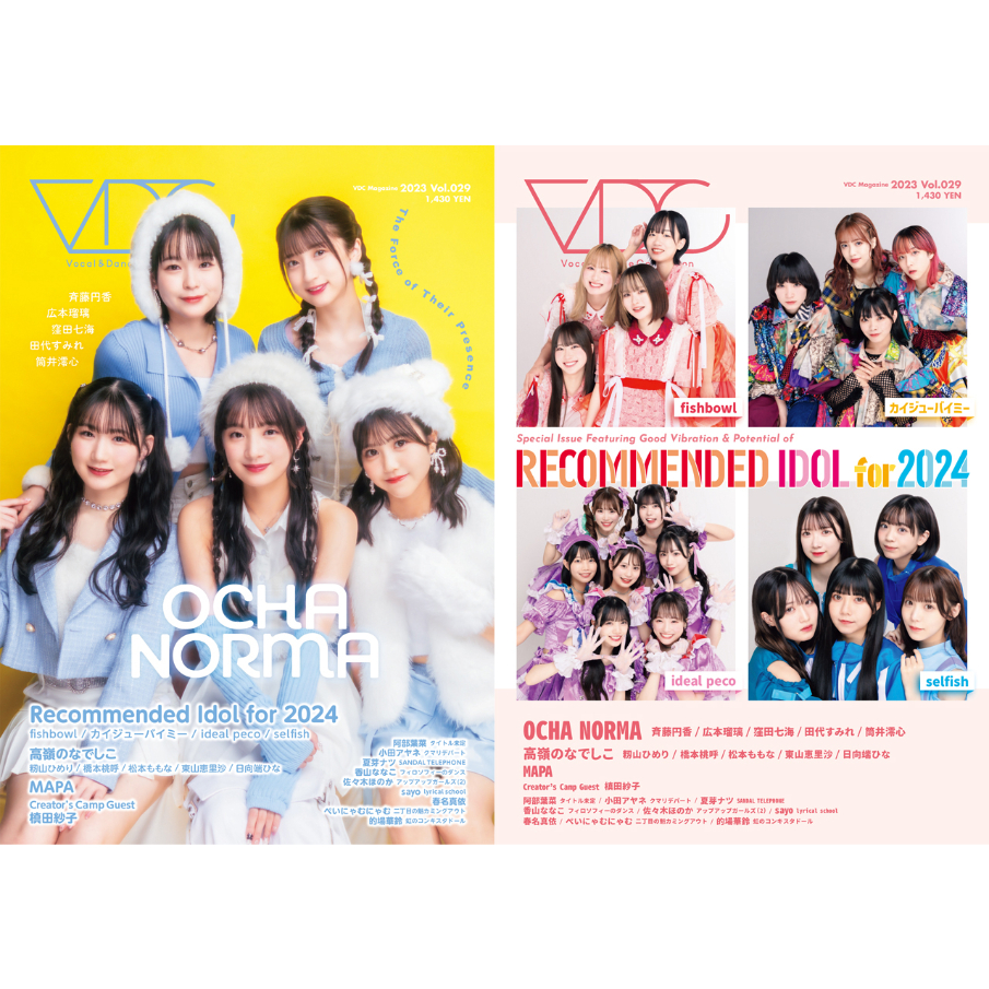 VDC Magazine 029 | VDC's Distribution
