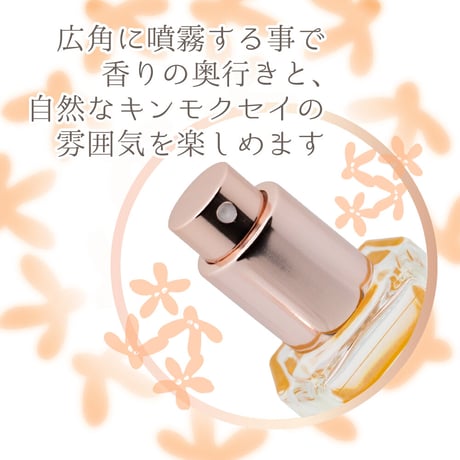 アンドエクラ　オードトワレスプレーＮキンモクセイ　17mL【メール便】