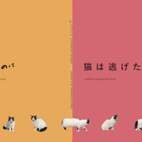 【Blu-ray＆DVD発売記念】『愛なのに』『猫は逃げた』パンフレットセット