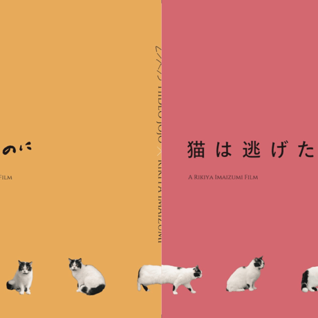 【Blu-ray＆DVD発売記念】『愛なのに』『猫は逃げた』パンフレットセット
