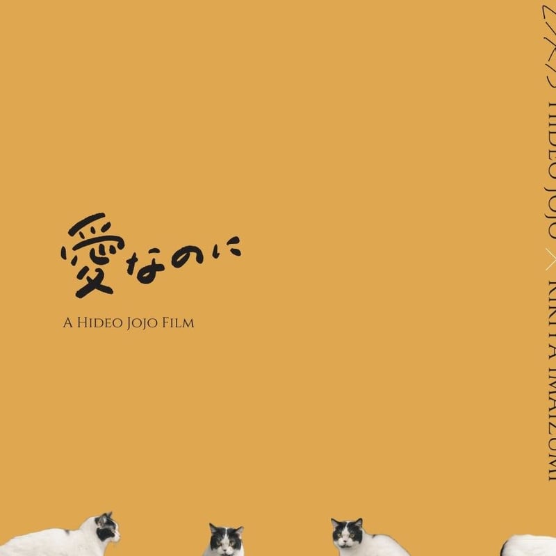 河合優実 愛なのに Blu-ray 葉書 パンフレット なんてったってアイドル 河合優実 愛なのに Blu-ray 葉書 パンフレット なんてったって