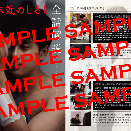 「本気のしるし」パンフレット