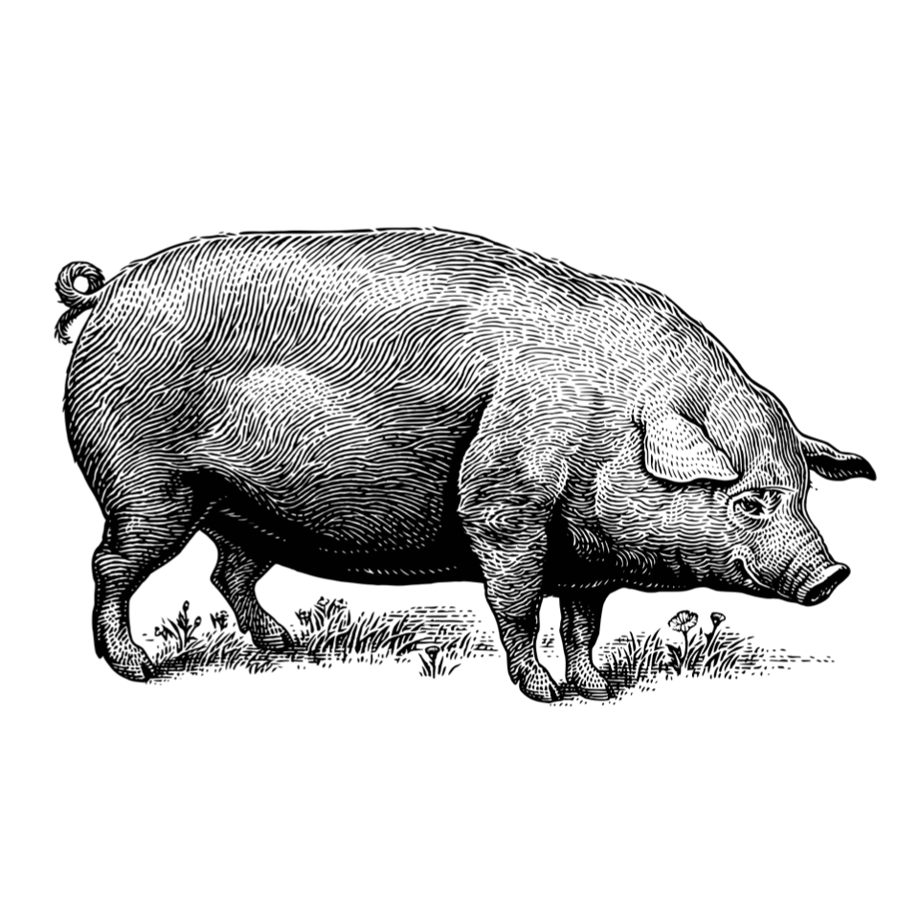63ca37694773a334ec448052