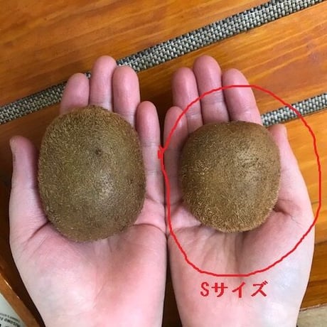自然栽培キウイフルーツ　Sサイズ　5kg