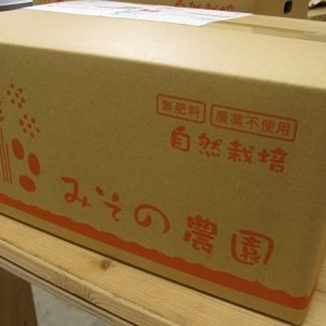 自然栽培キウイ　10kg