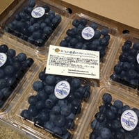 自然栽培ブルーベリー　12P