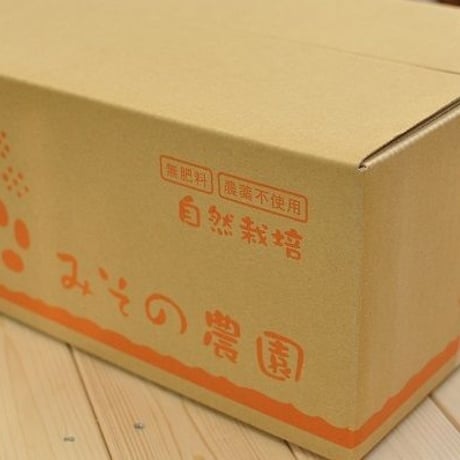 自然栽培キウイ　5kg