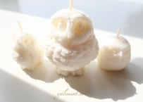 今月の特典・お知らせ☆。.:＊・゜