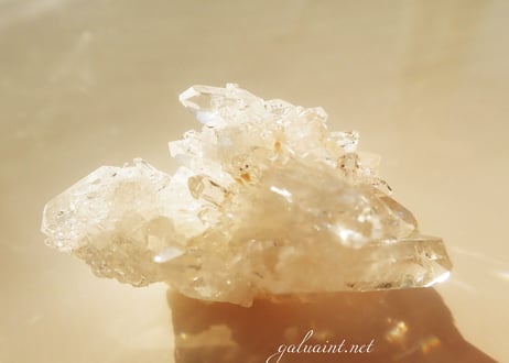 Tomaz Gonzaga crystal