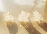 春分 「gilシリーズ～gilgwaloas閃光の花束1～」 SOLD OUT