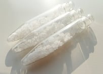 魔法の瓶 SOLD OUT