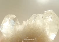 サポートプログラム☆。.:＊・゜