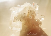 Tomaz Gonzaga crystal