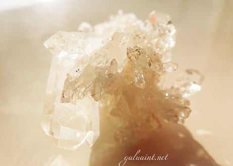 Tomaz Gonzaga crystal