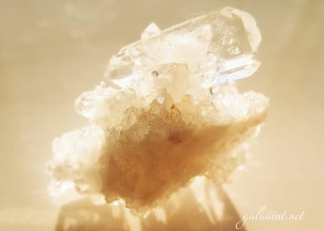 Tomaz Gonzaga crystal
