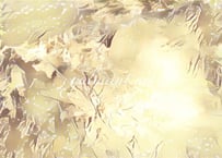 1レイキヒーリングラディアンスシステム[ファーストディグリー]
