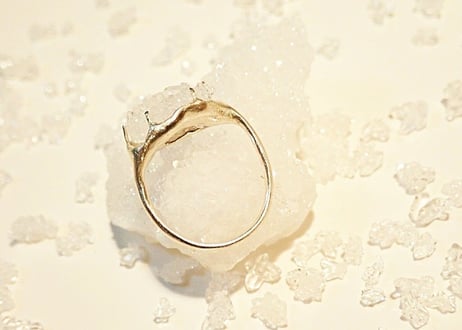 「gilシリーズのring～[aran王]～」