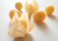 魔法のオイルさん 定期お届け☆。.:＊・゜