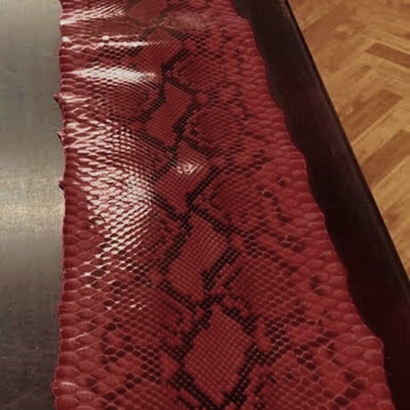 Build Snake Skin Long Wallet